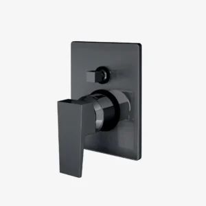 Single Lever Concealed Diverter With Spout