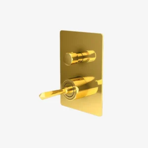 Single Lever Concealed Diverter